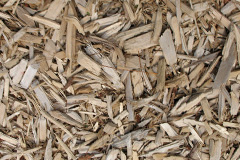 biomass boilers Langold
